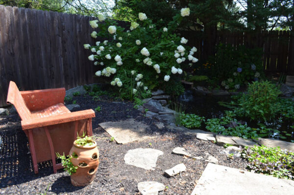 black mulch around pond