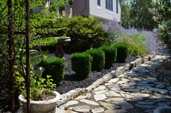 black mulch around bushes