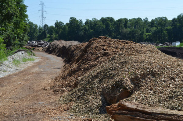 wood chips piles