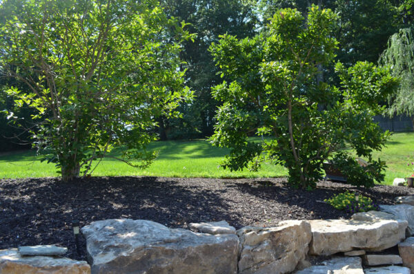 brown mulch in landscaping