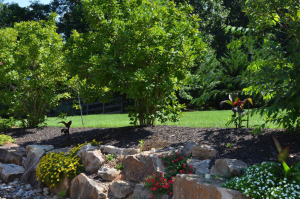 brown mulch in landscaping