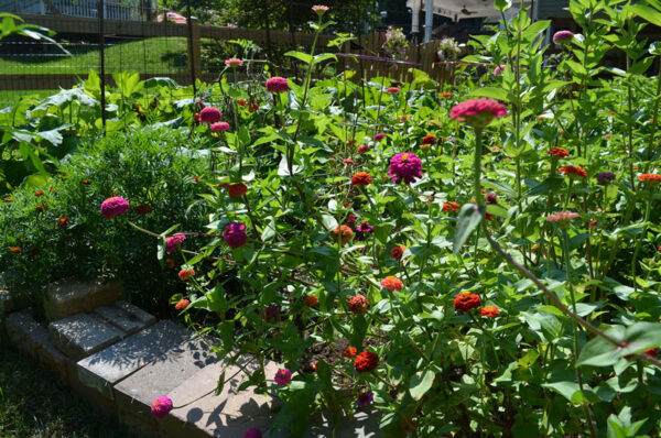 garden using top soil